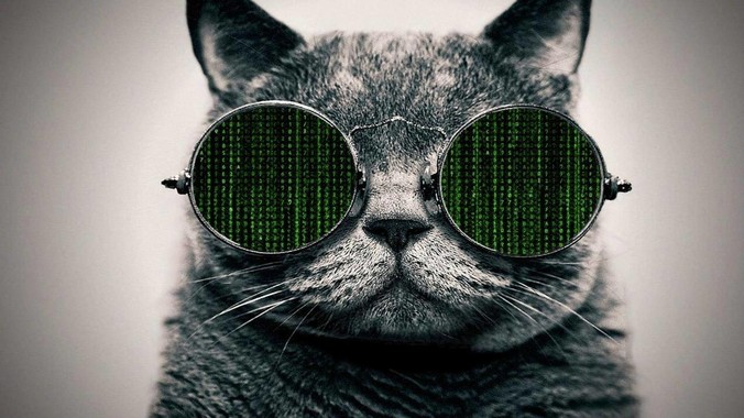 请问您见过最惊艳的sql查询语句是什么？